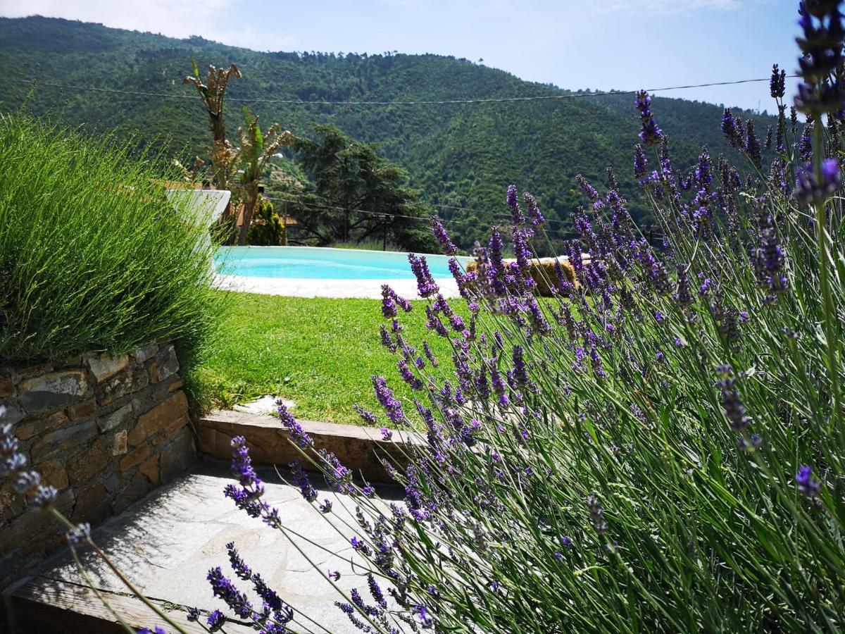 Agriturismo Ca Due Nonu Vallebona Ngoại thất bức ảnh